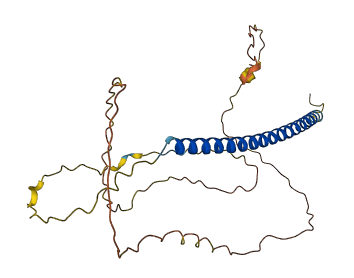 C3orf49 3D structure