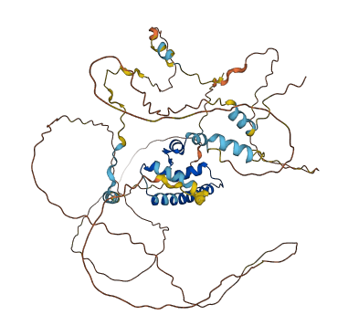 CENPT 3D structure