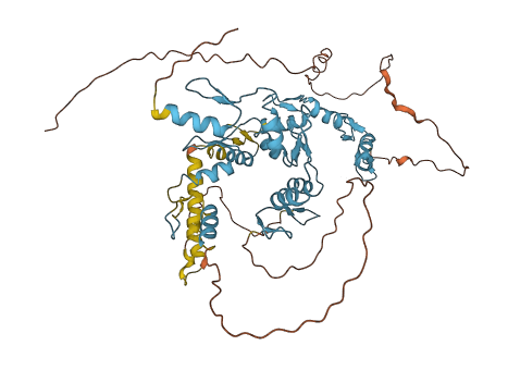 ZNF775 3D structure