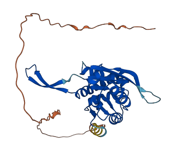 UPRT 3D structure
