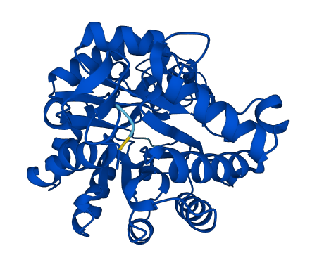PTER 3D structure