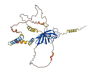 SARAF 3D structure