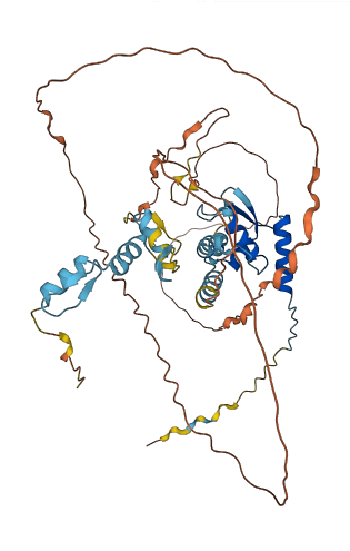 ZBTB9 3D structure