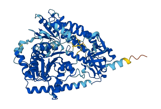 DHX58 3D structure