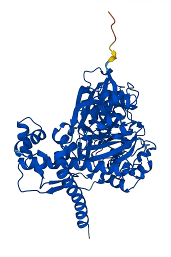 FGGY 3D structure