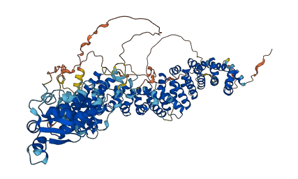 ARMC5 3D structure
