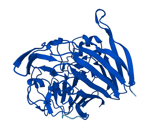 GALM 3D structure