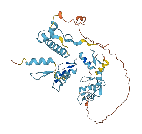 ZNF707 3D structure
