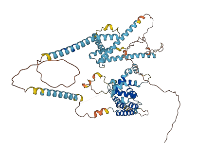 RUNDC1 3D structure