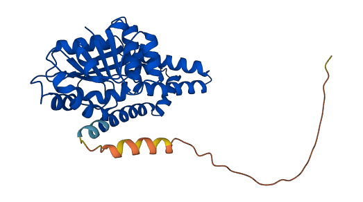 PYCR2 3D structure