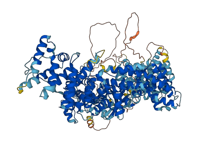 ULK4 3D structure