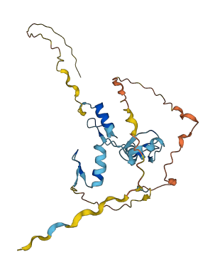 ZNF524 3D structure