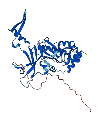 DCPS 3D structure