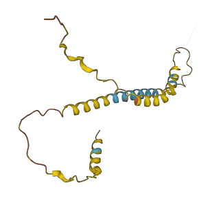 C8orf44 3D structure
