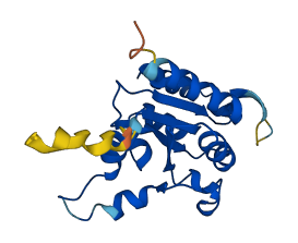PPCDC 3D structure