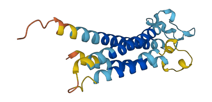 TM4SF18 3D structure