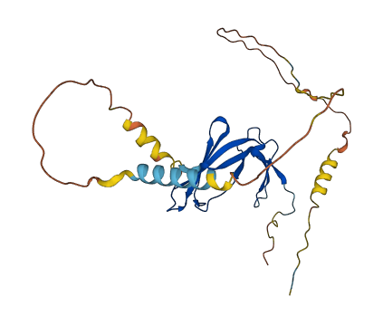 EAF2 3D structure