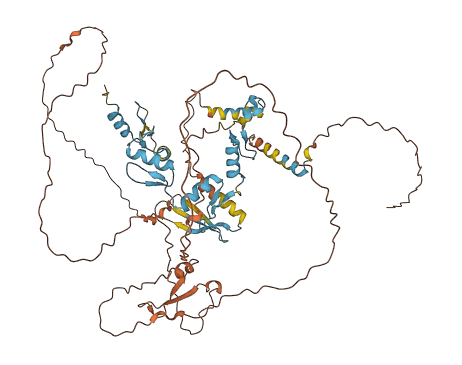 ZNF653 3D structure