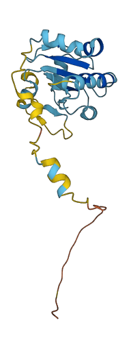 NXNL1 3D structure