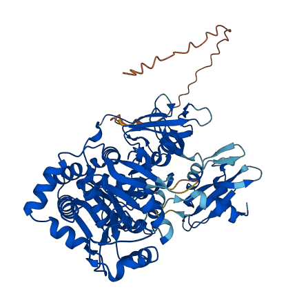 ACSF2 3D structure