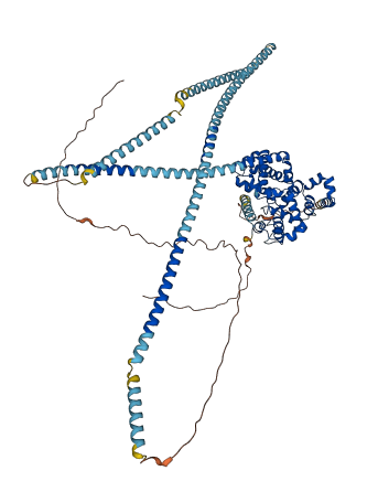 EVI5L 3D structure