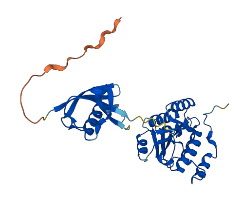 ISOC1 3D structure