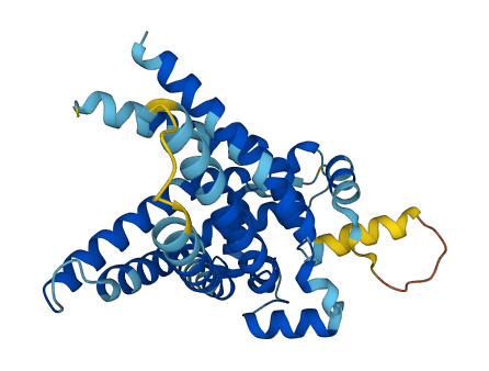 SLC25A36 3D structure