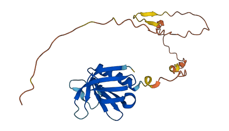 PLEKHB2 3D structure