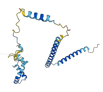 CCDC124 3D structure