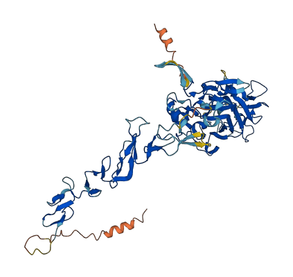 NTNG2 3D structure
