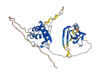 KCTD12 3D structure