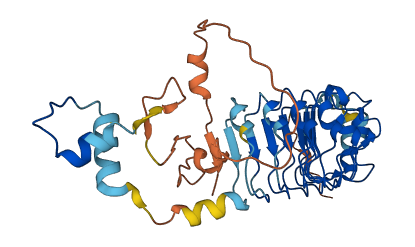 LRRC58 3D structure