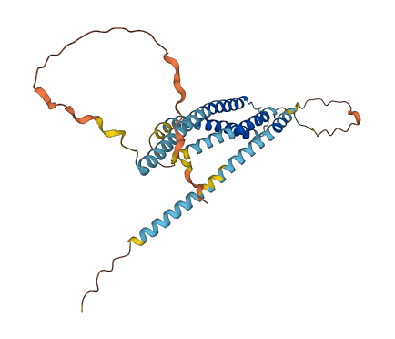 ORAI1 3D structure