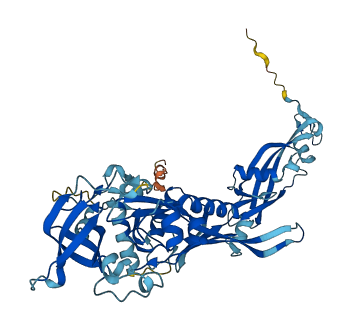 NMD3 3D structure