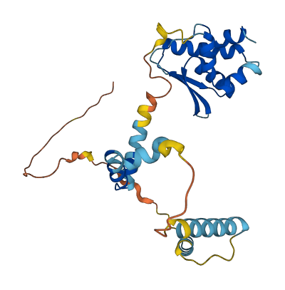 R3HDM4 3D structure