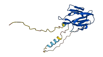 ZG16B 3D structure