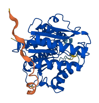 HDAC11 3D structure