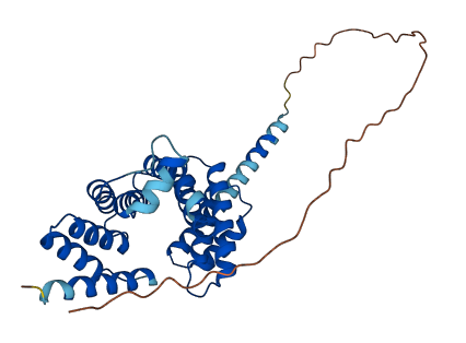 RMDN1 3D structure