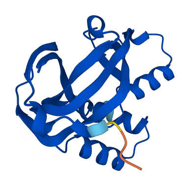 CXorf40B 3D structure