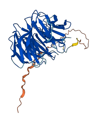 SNRNP40 3D structure