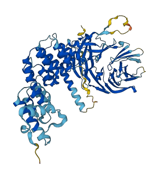 RMC1 3D structure