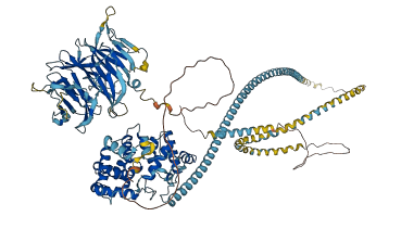 TBC1D31 3D structure