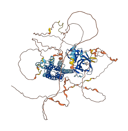ARHGEF26 3D structure