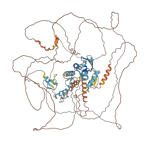 ZBTB10 3D structure