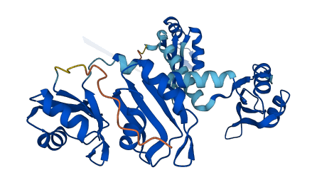 PABPC5 3D structure