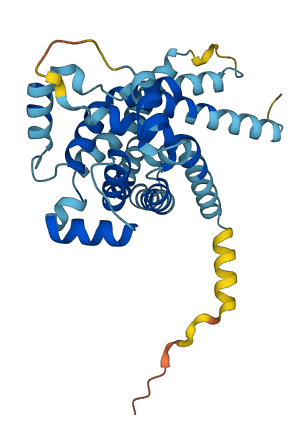 SLC25A38 3D structure