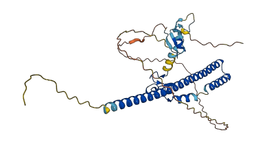 TRIM44 3D structure