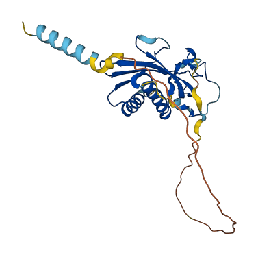 RTP4 3D structure