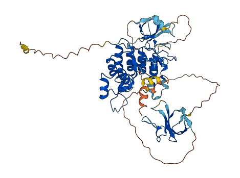 CLIP3 3D structure