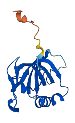 RMI2 3D structure